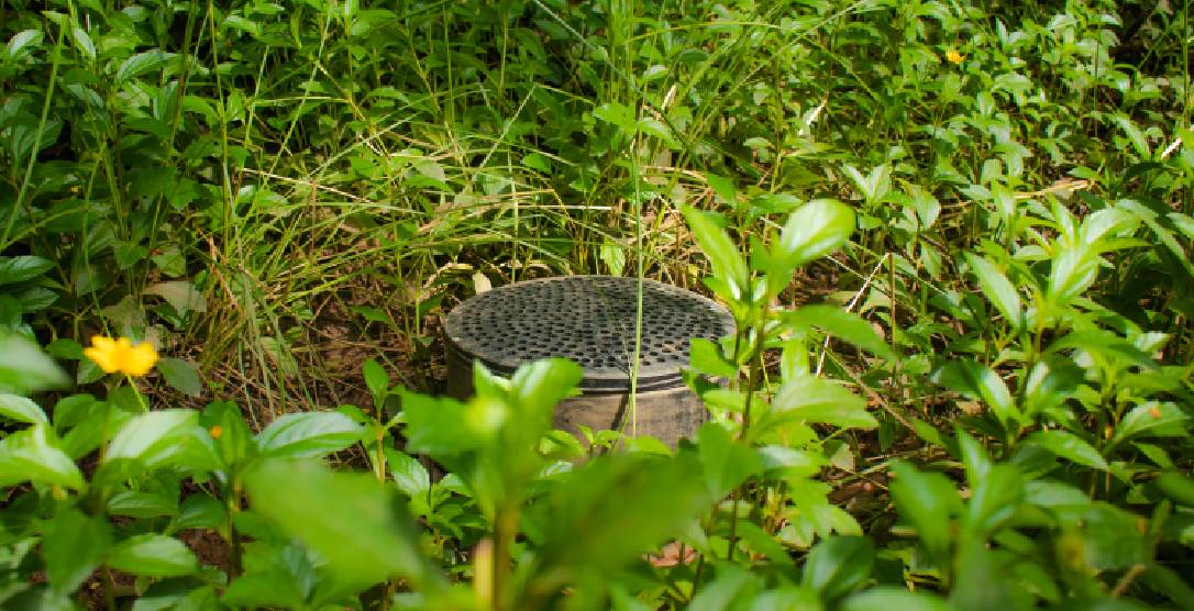Prevention From Flood And Water Logging: Alembic Real Estate's Best Practices For Rain Water Management