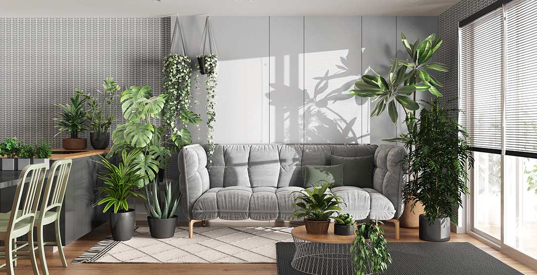 Embracing Open Spaces: A Path To Well-Being In Urban Living