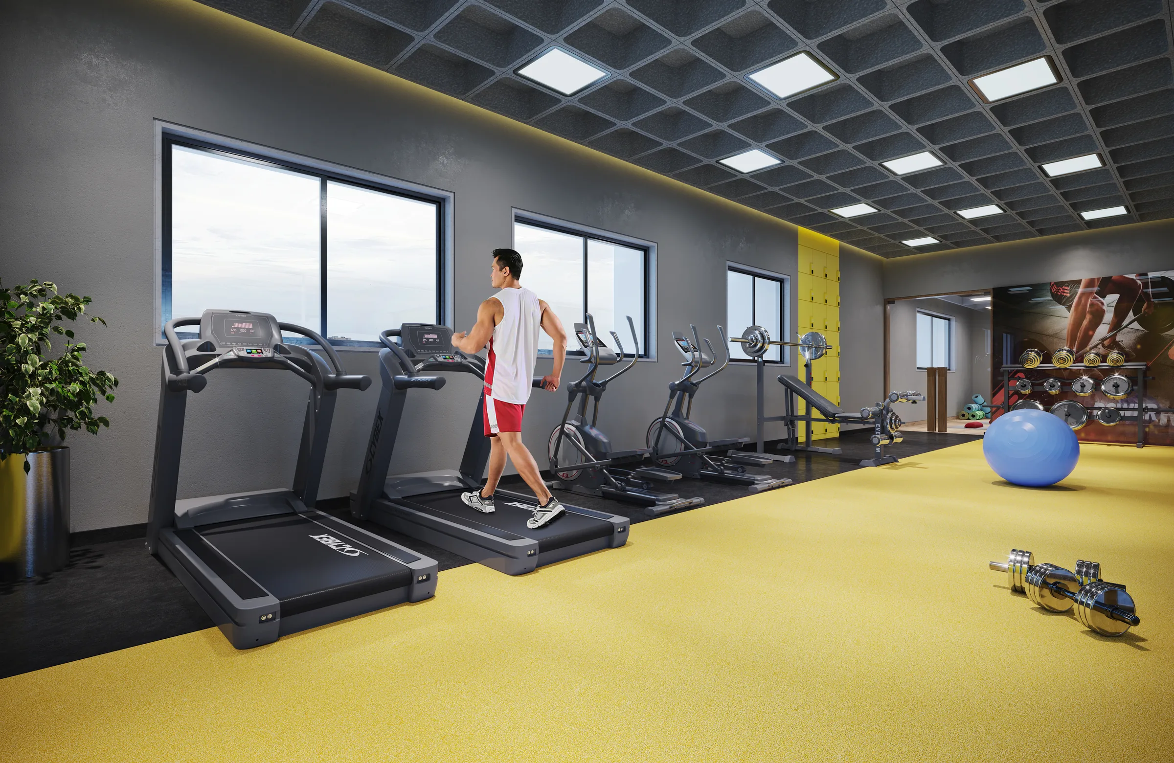 Kiara gymnasium (artist's impression)