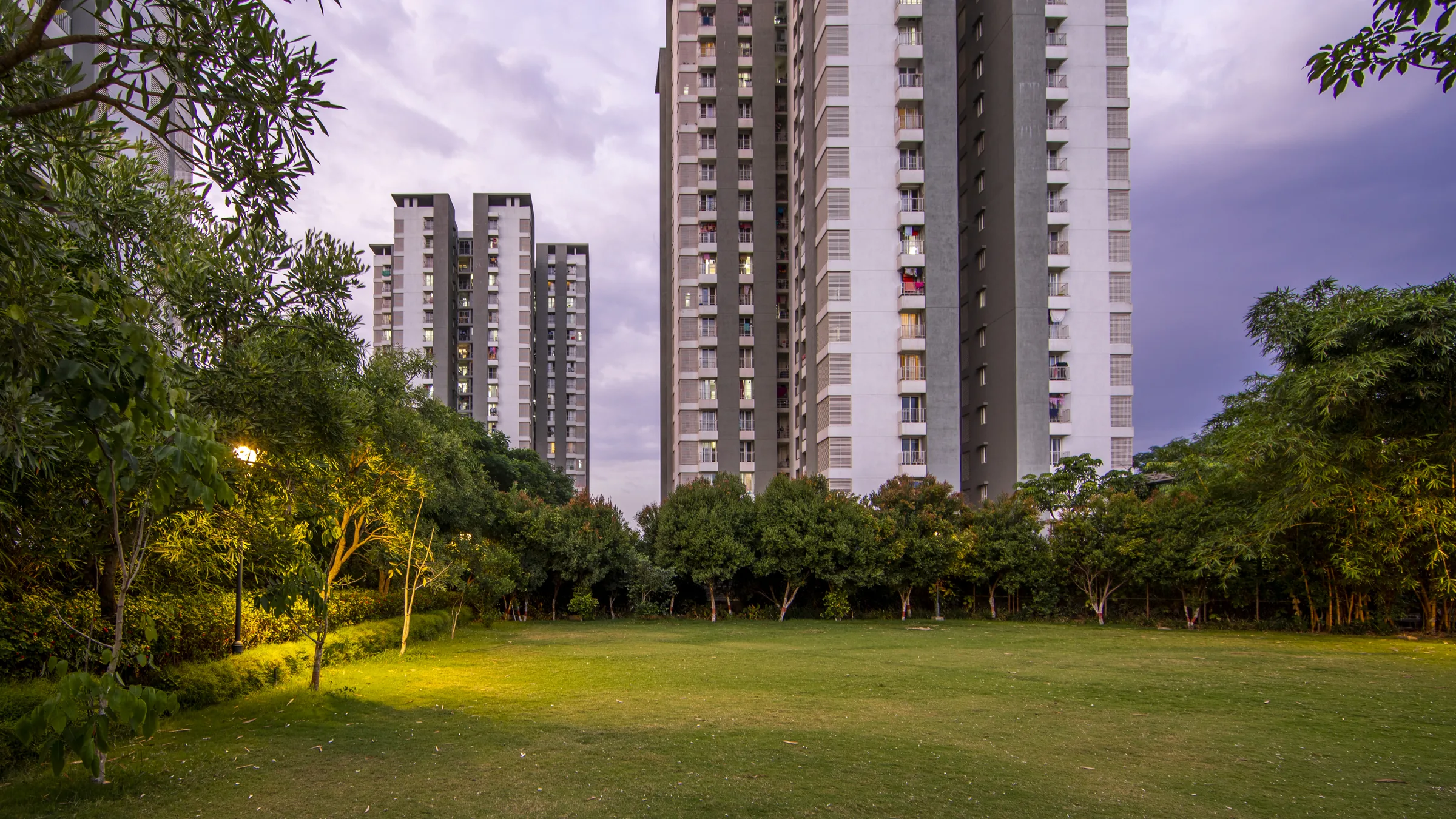 Urban Forest central lawn at dusk