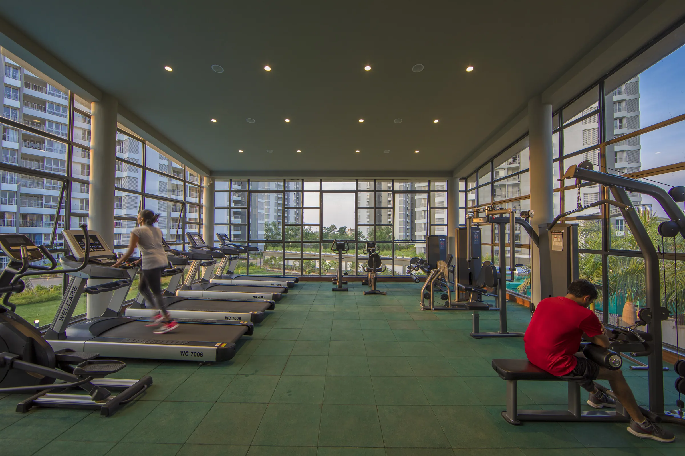 Urban Forest glass-walled gymnasium