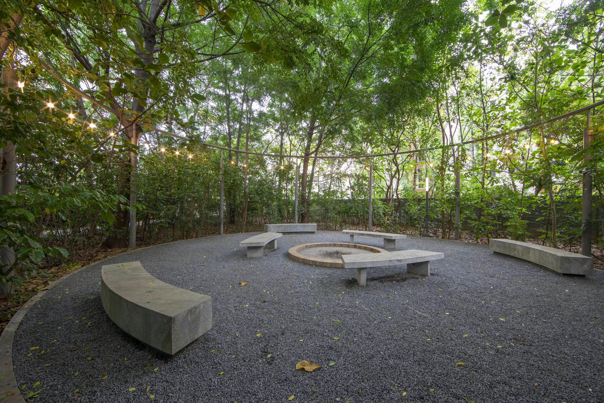 Stone seating circle under the Urban Forest tree canopy