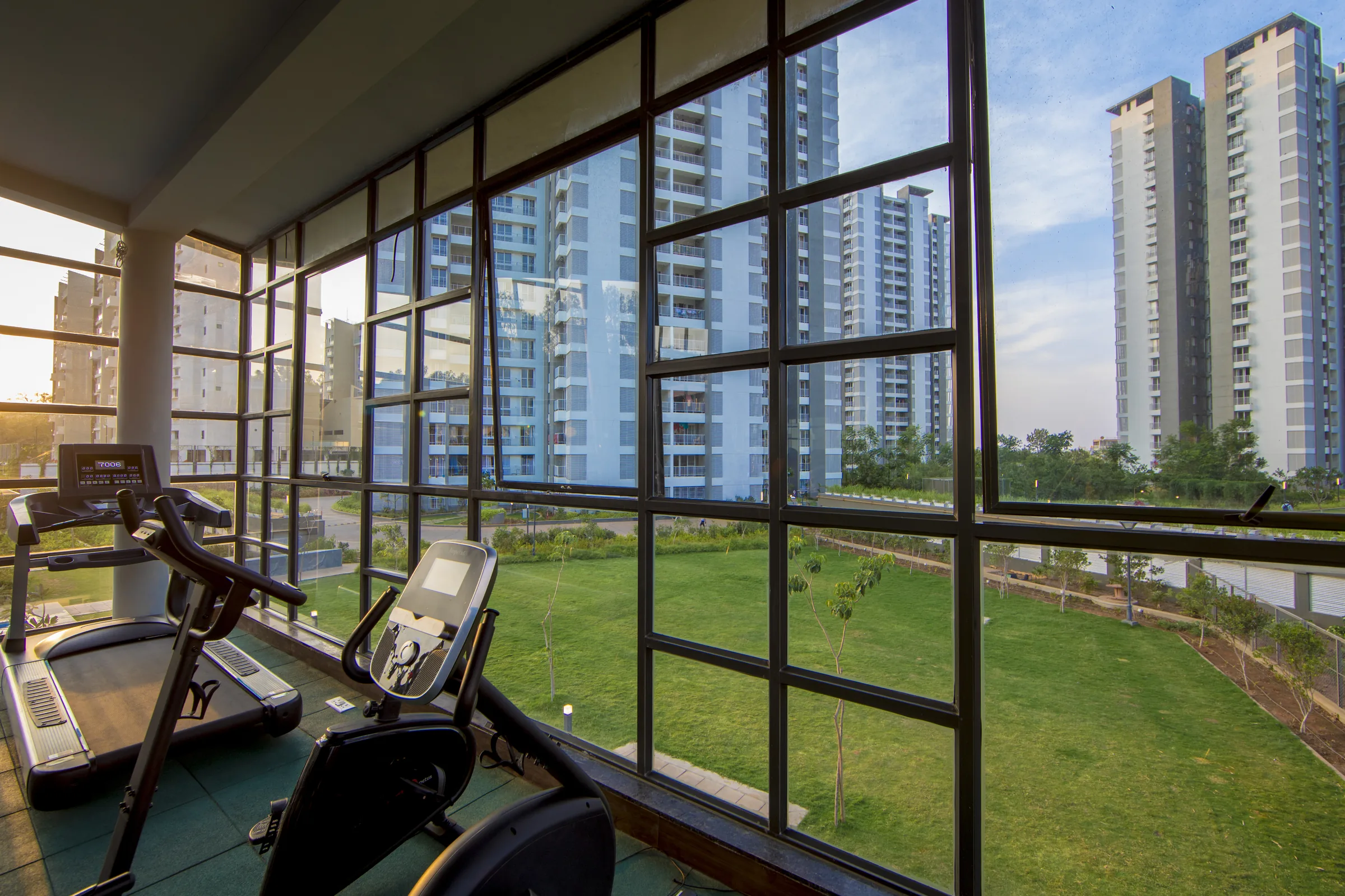 View of the Urban Forest towers from the gymnasium