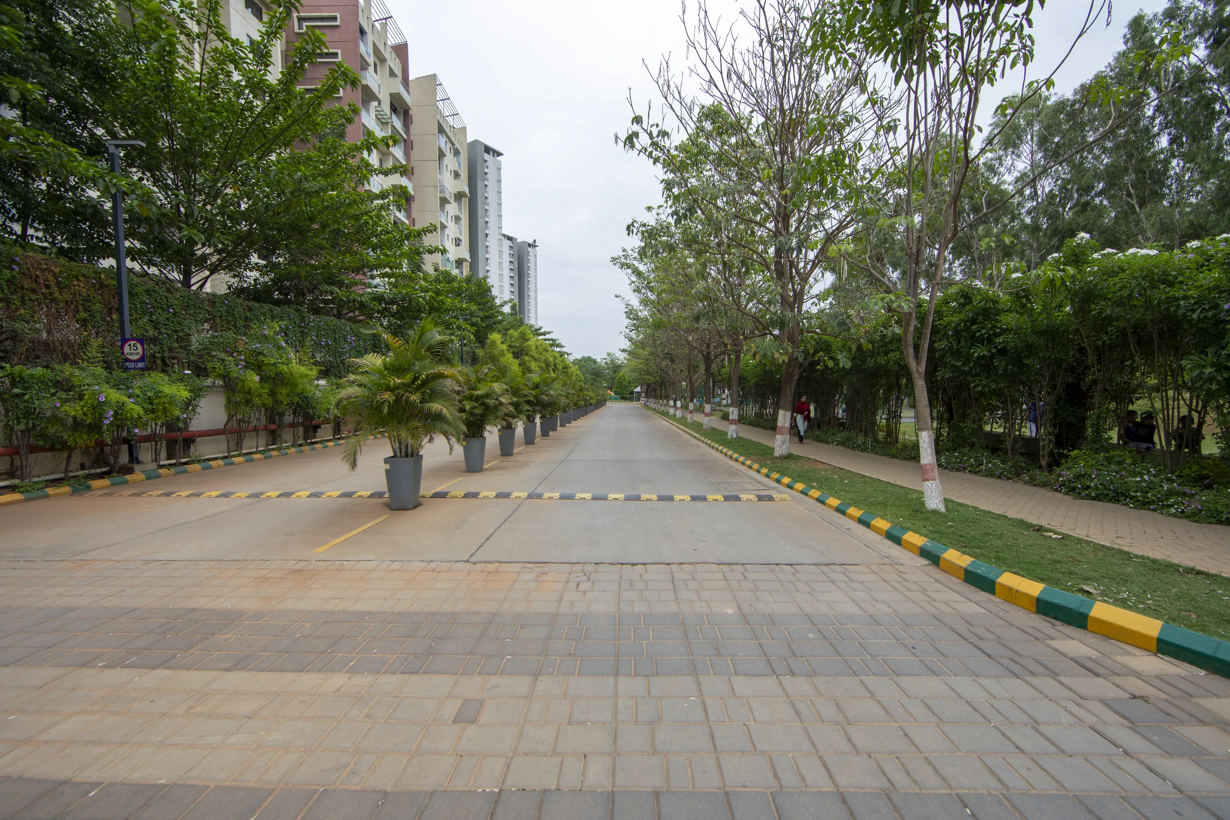 Tree-lined internal boulevard at Urban Forest