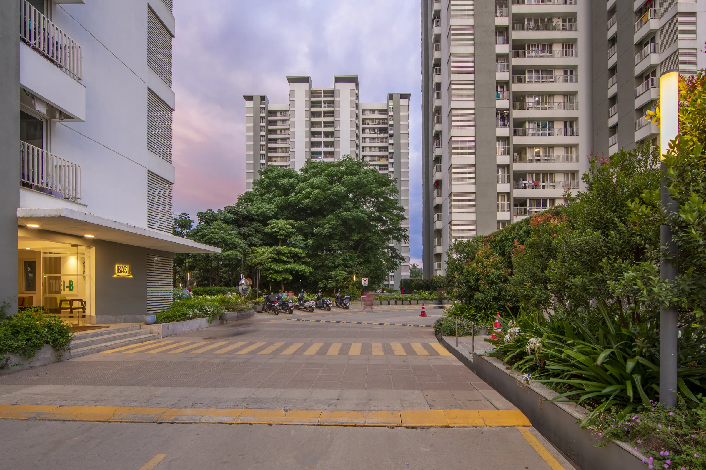 Urban Forest entrance drive with the towers at dusk