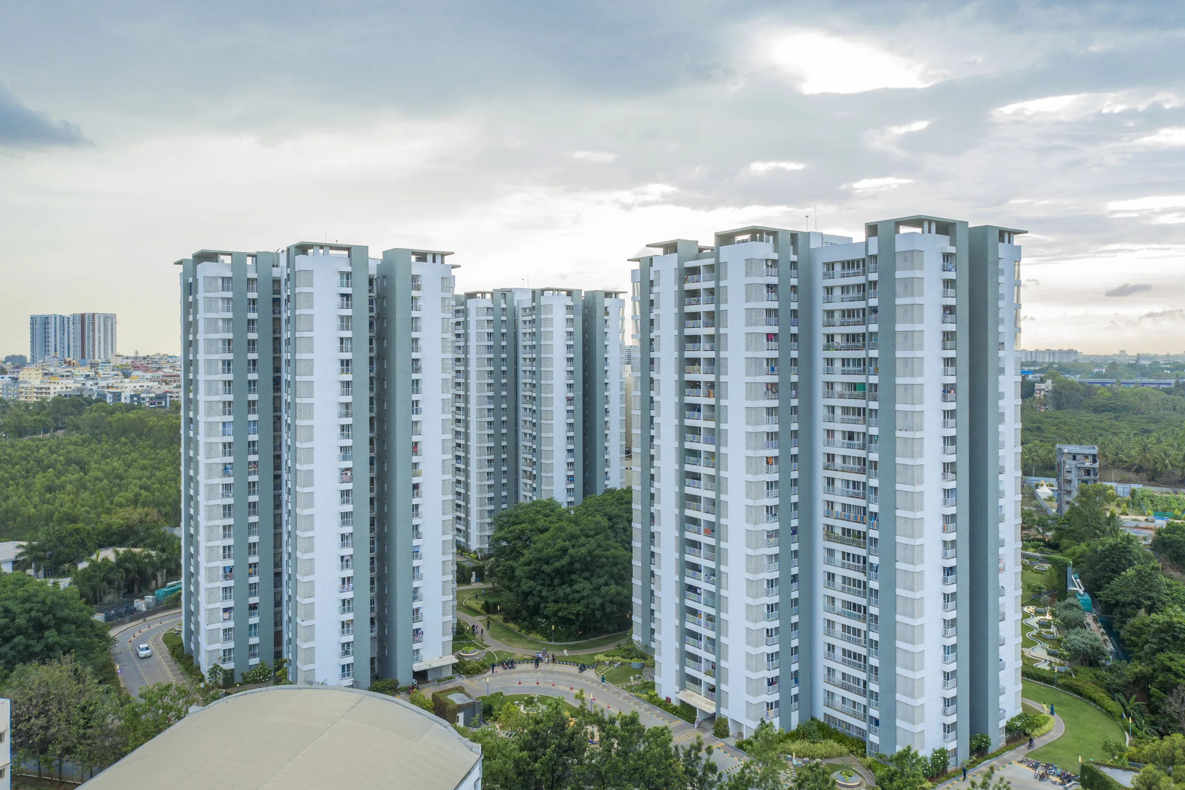Urban Forest towers rising above the Whitefield tree canopy