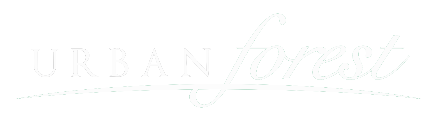 Project logo
