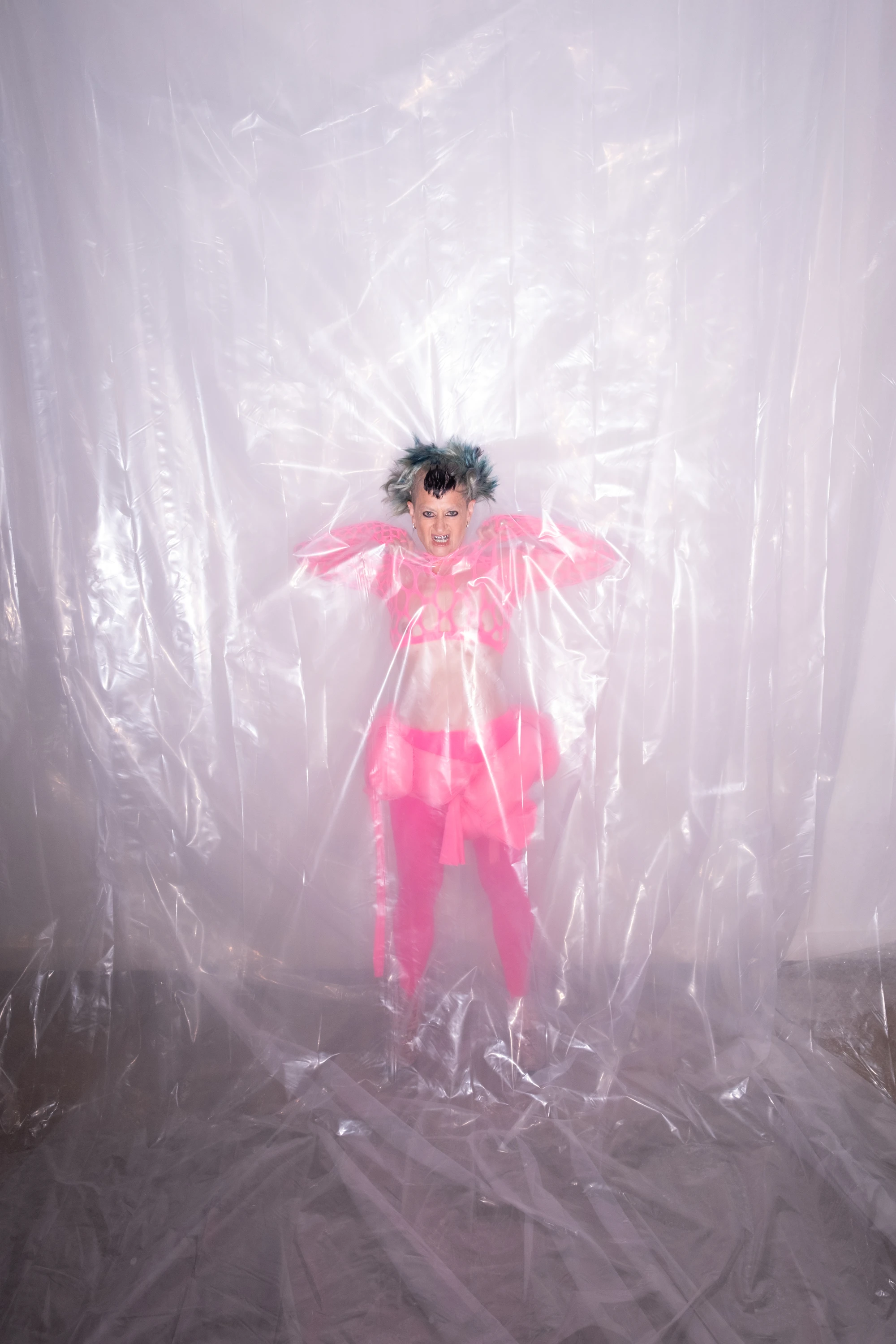 Peaches in a pink outfit behind translucent sheeting.