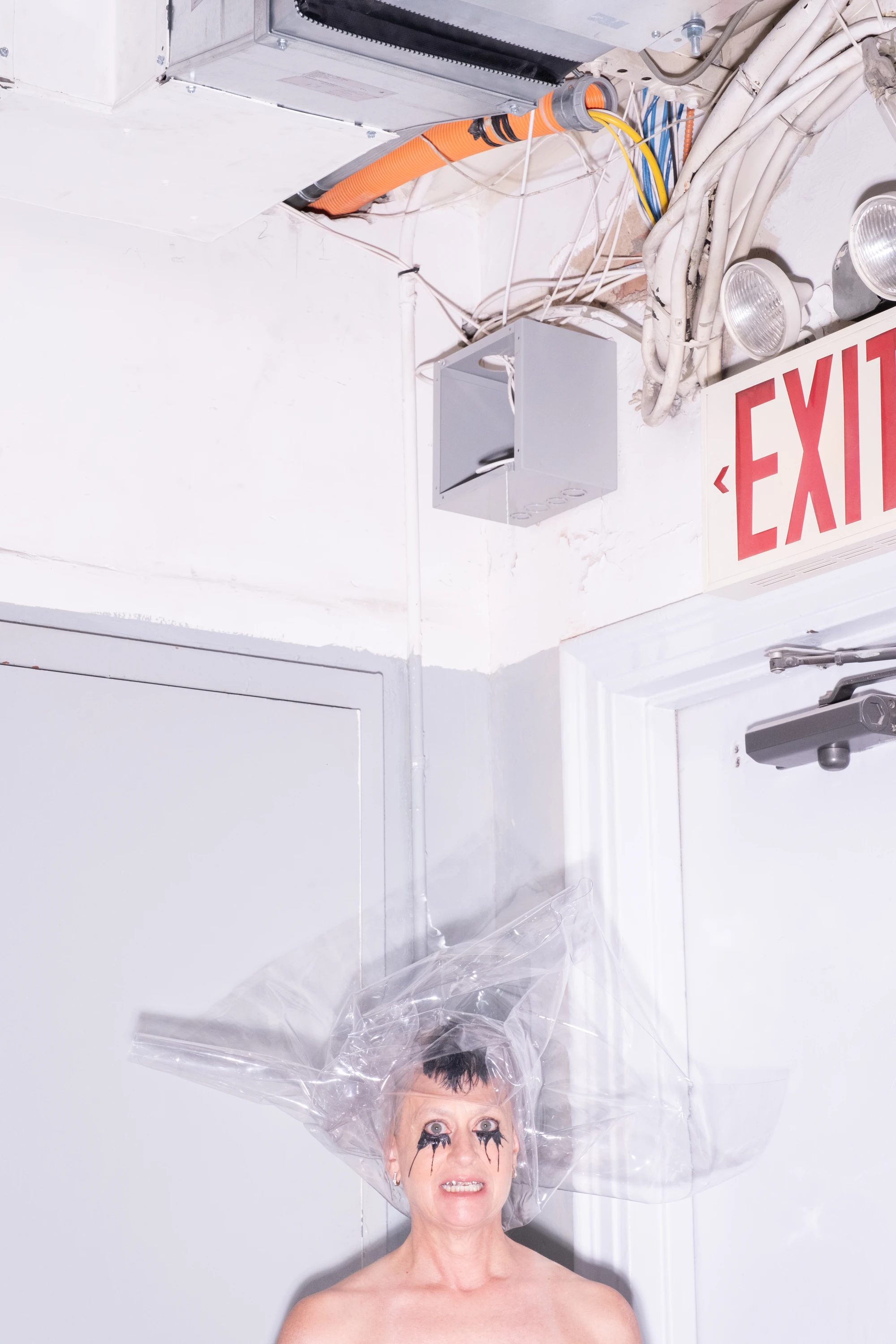 Peaches posing beneath an exit sign in a hallway.