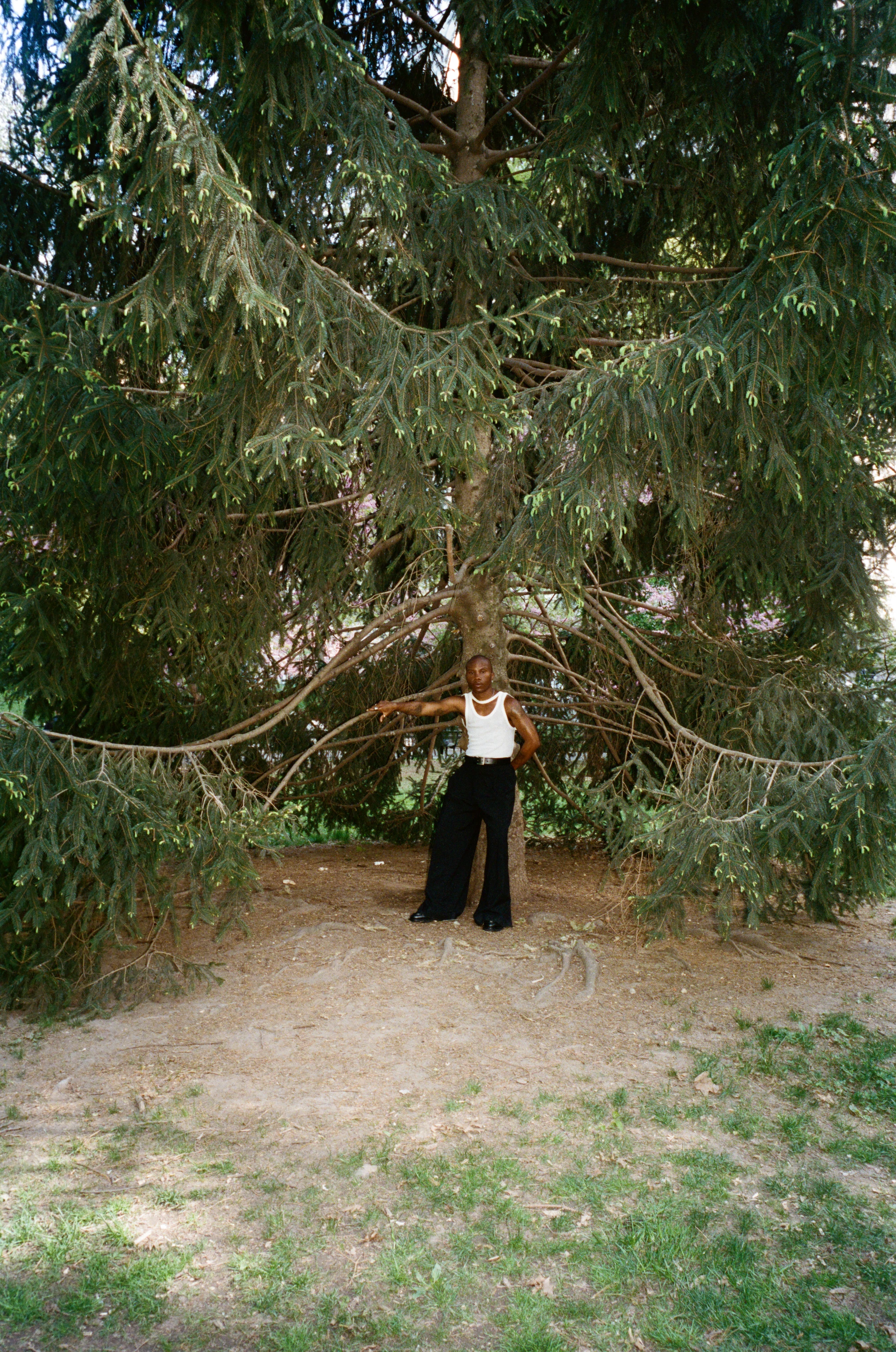 TYGAPAW standing beneath drooping tree branches.