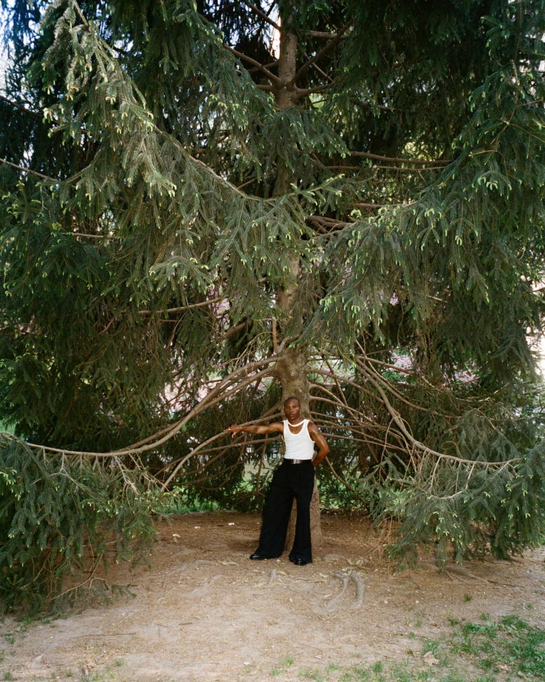 TYGAPAW standing beneath a tree in an editorial layout.