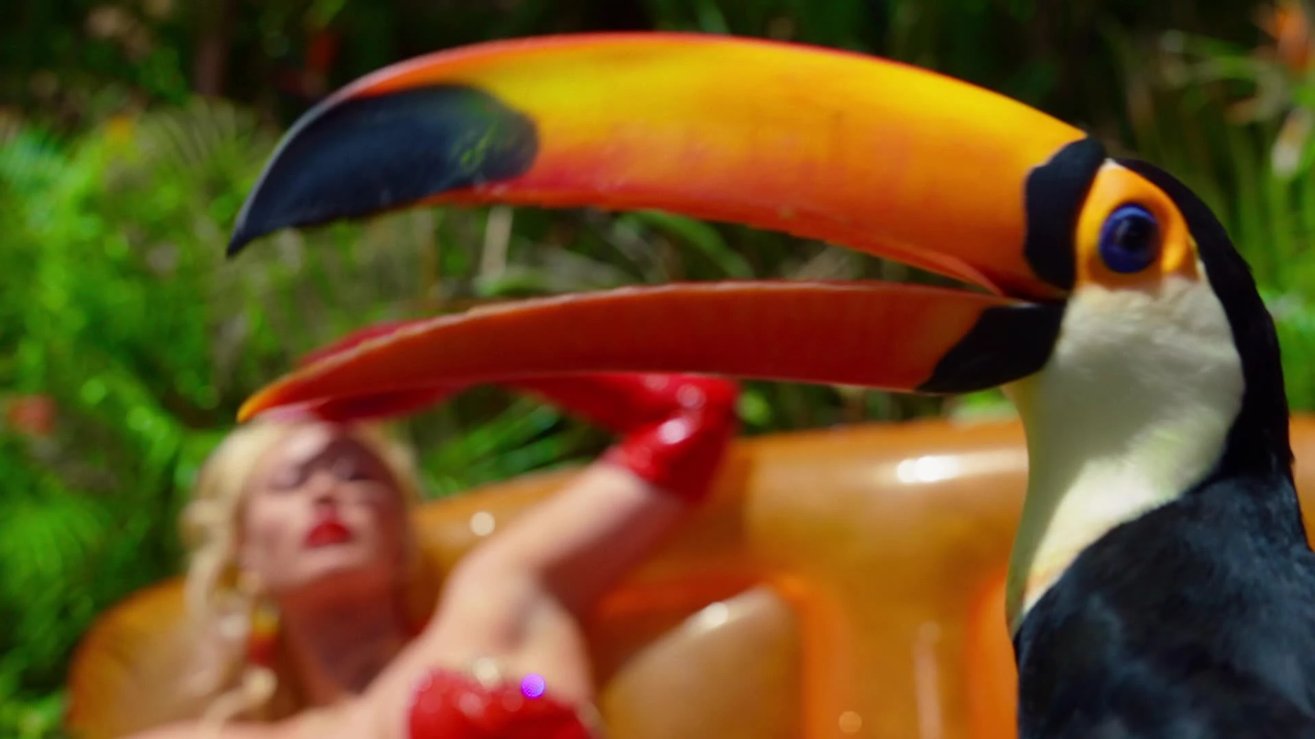 A toucan in the foreground of a tropical set.