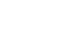 White camera icon