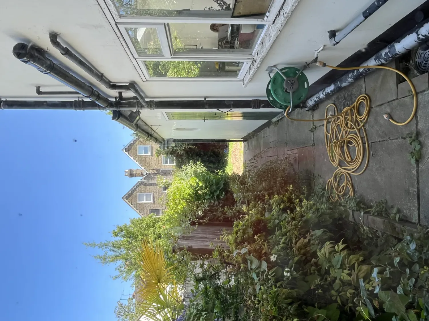 The existing single-storey rear extension seen from the garden, its gable end facing a tall ivy-covered wall a few metres away