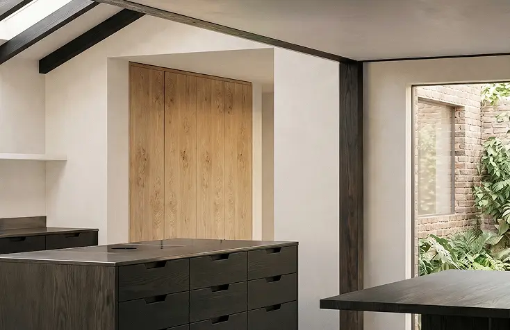Feasibility and early design for a Victorian house extension