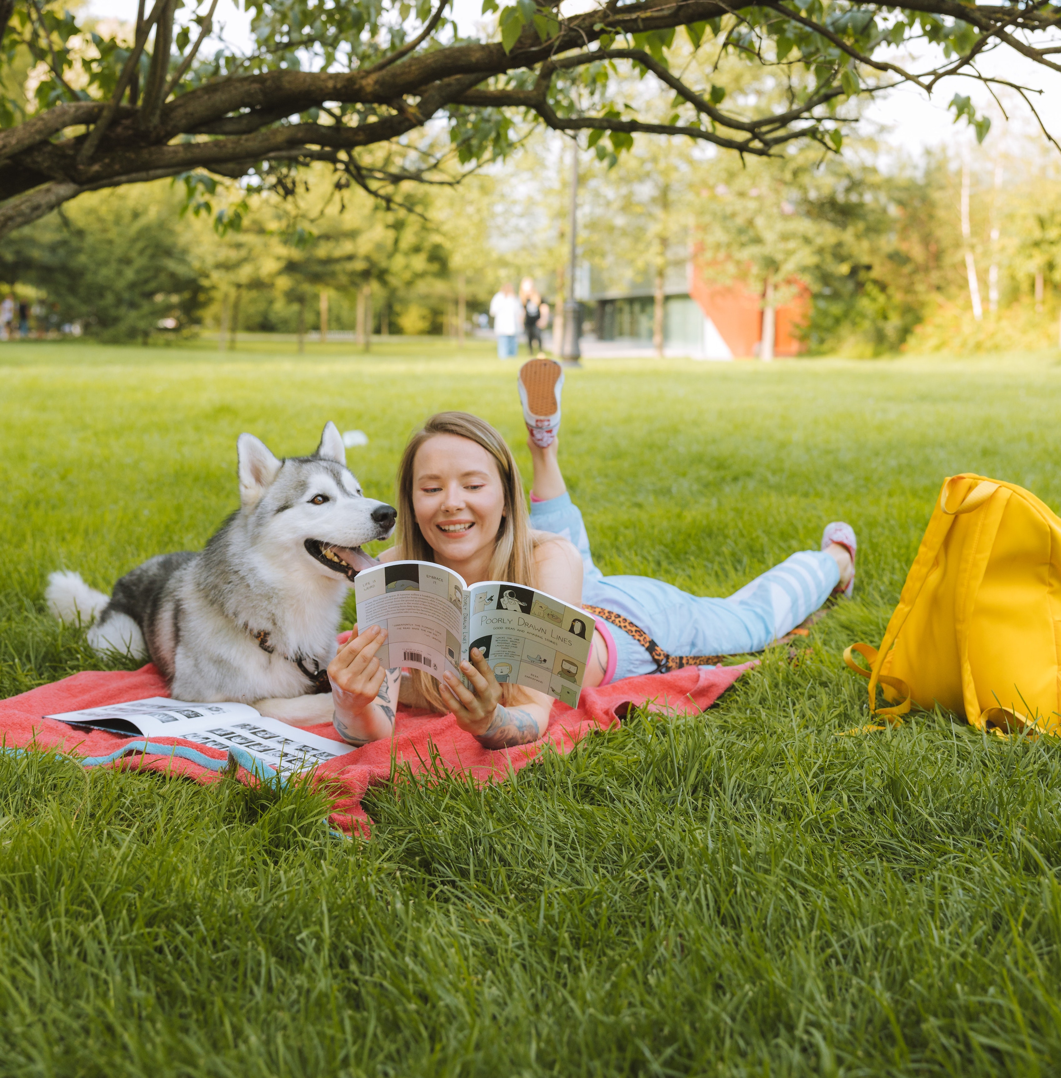 Girl playing with dog stock image
