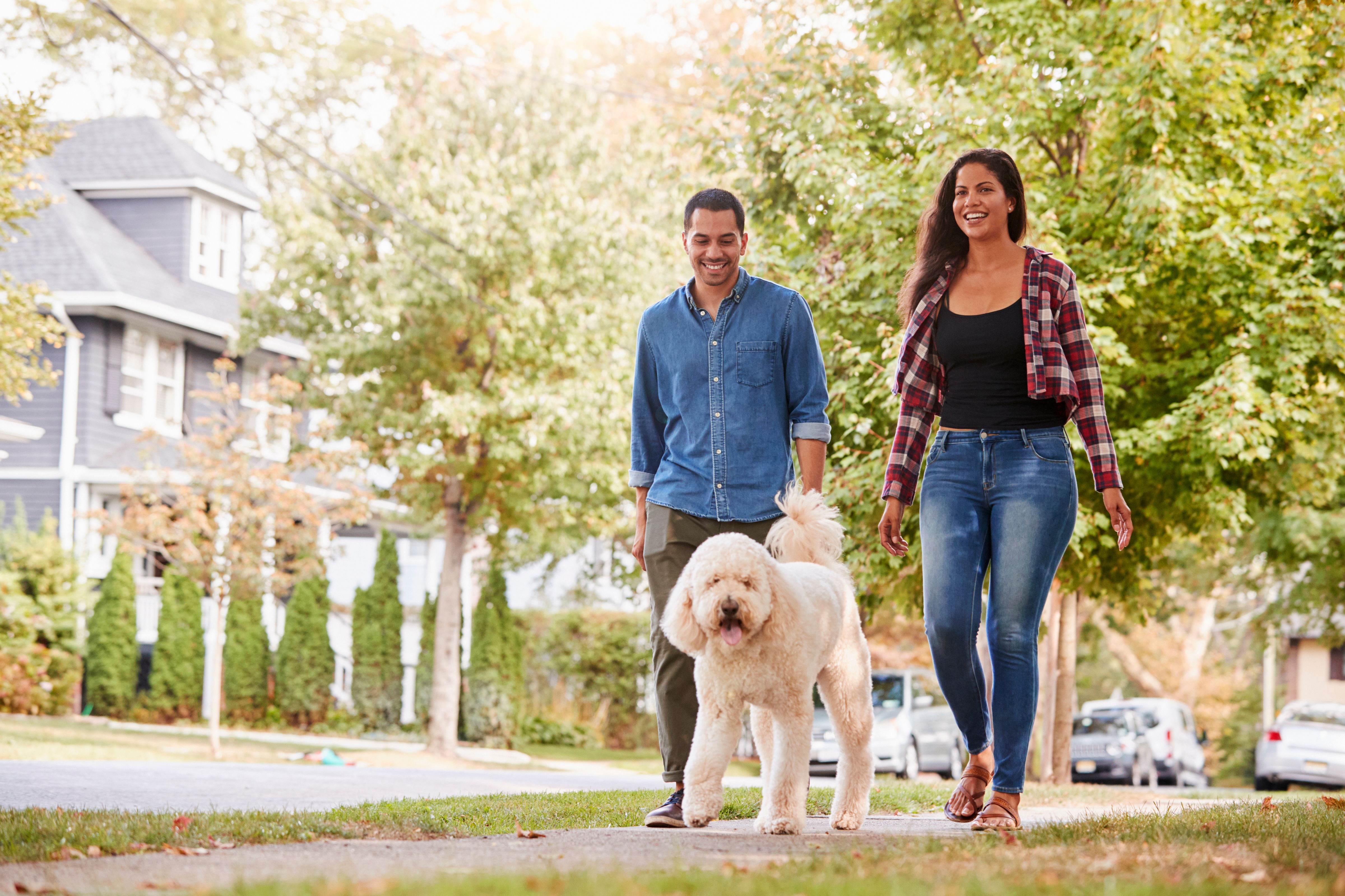 Man and woman walking dog stock image