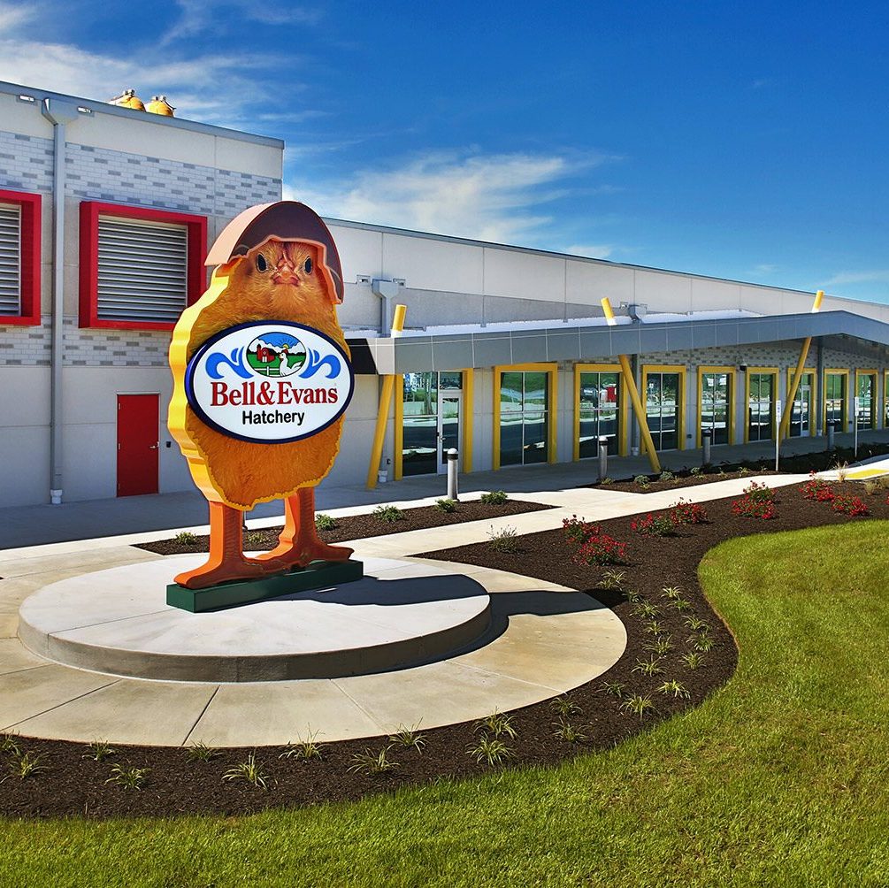 Bell and Evans hatchery