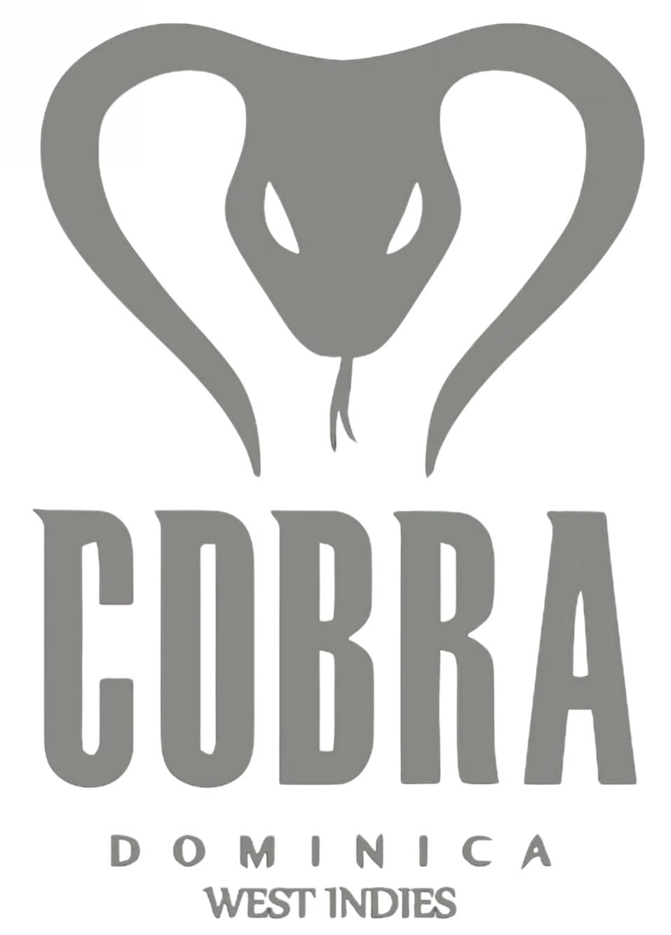 Temporary sponsor logo 5