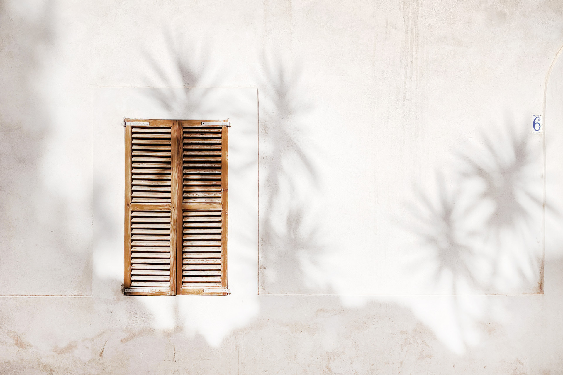 Volet de bois sur une façade blanche de La Torre del Canónigo, parcourue d'ombres de plantes.