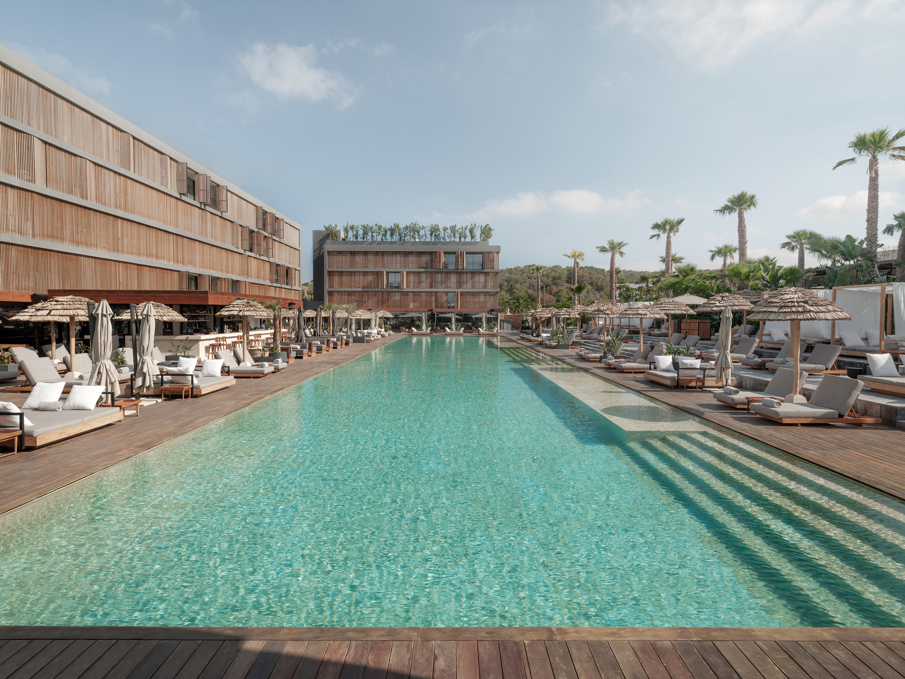 Piscine centrale d'OKU Ibiza entre les bâtiments en bois, les transats et les palmiers.