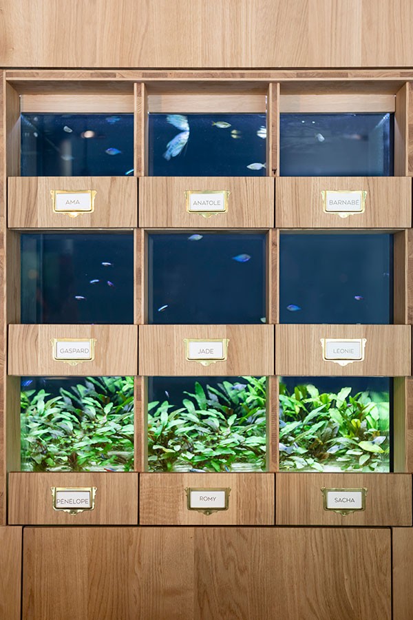 Aquarium de la réception du Black Bass Hotel à Sévrier, intégré à des casiers en bois.