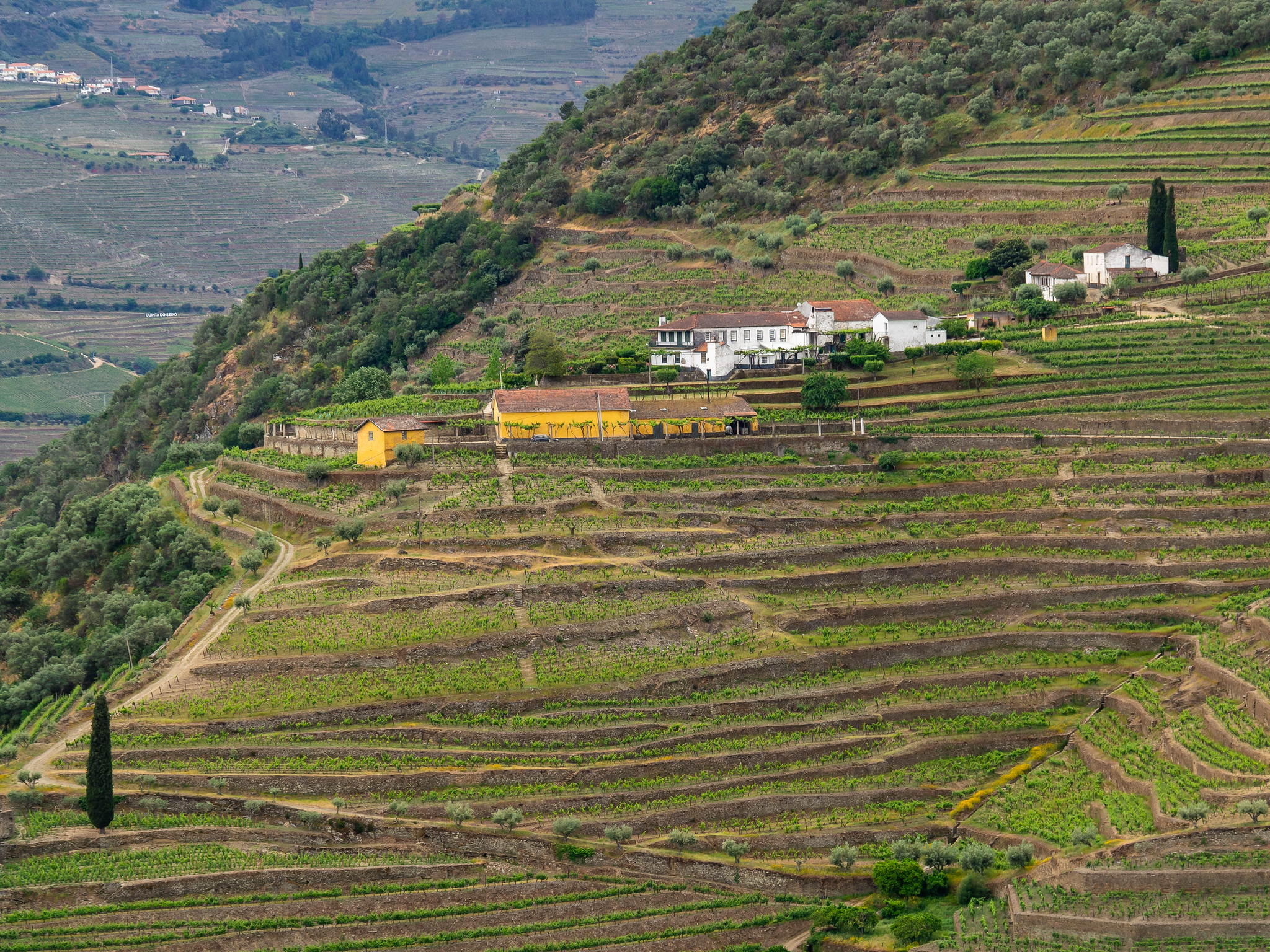 Portugal