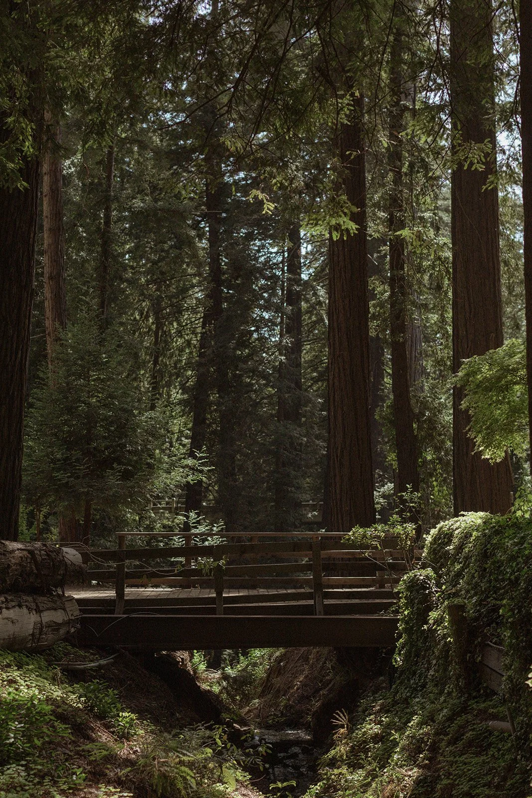 Deetjen's Big Sur Inn