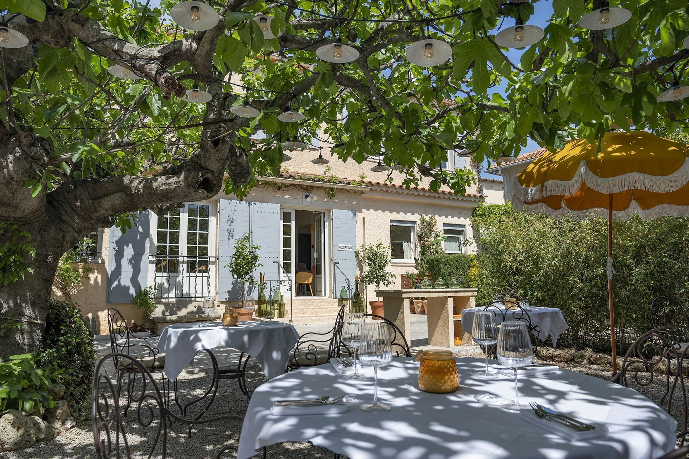 La terrasse de Lou Cagnard dressée sous le figuier, devant la maison et sa réception, à Saint-Tropez