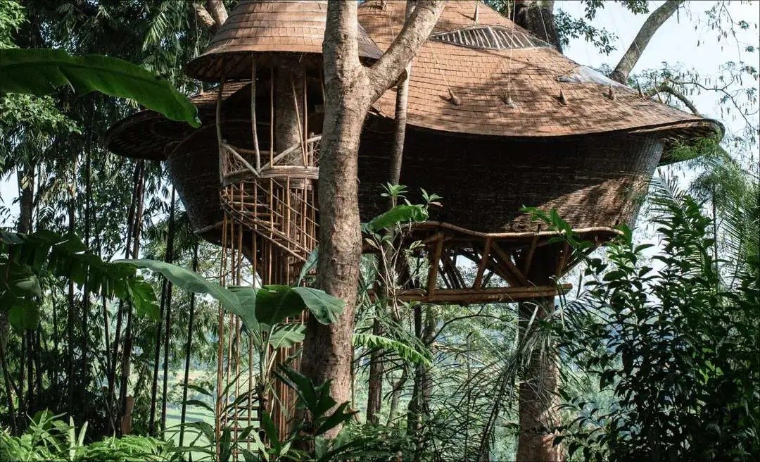 Bambu Indah