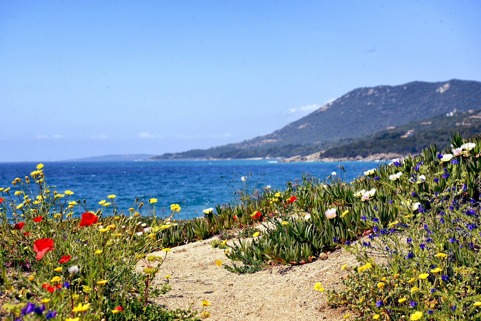 La plage de l'anse d'Agliu, golfe du Valinco