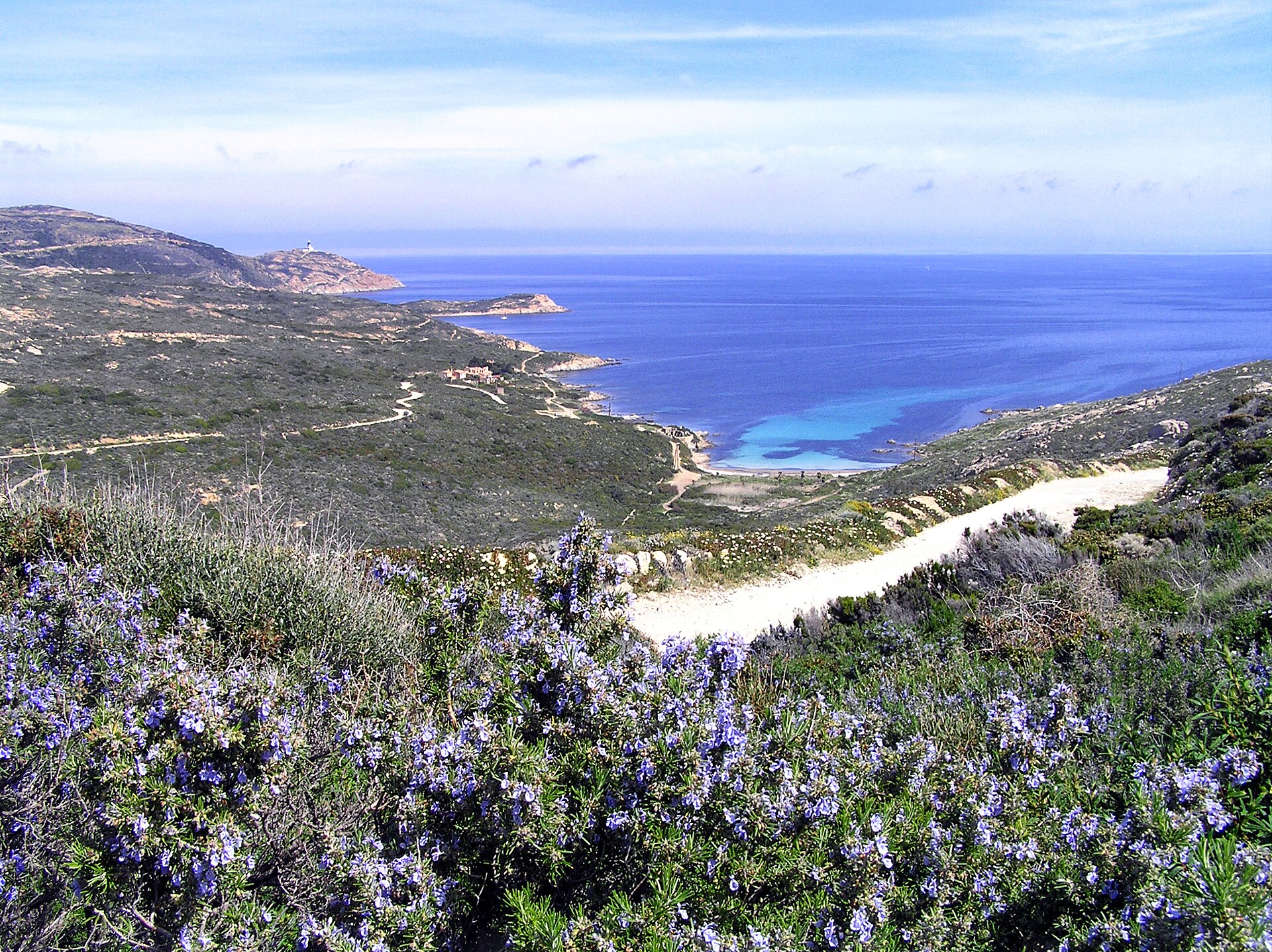 La plage de l'Alga, presqu'ile de la Revellata, Calvi