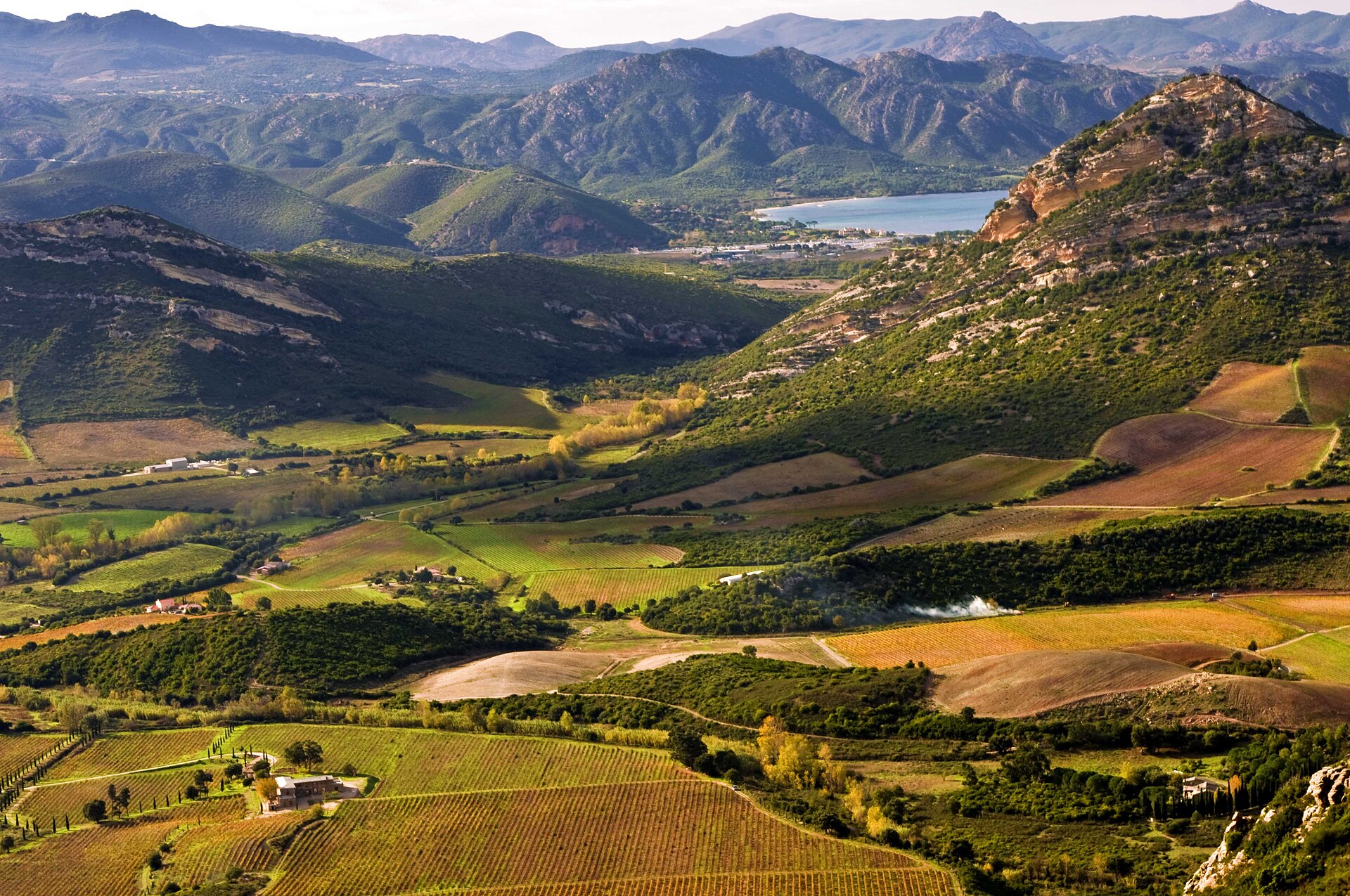 Le vignoble AOC Patrimonio pres de Saint-Florent