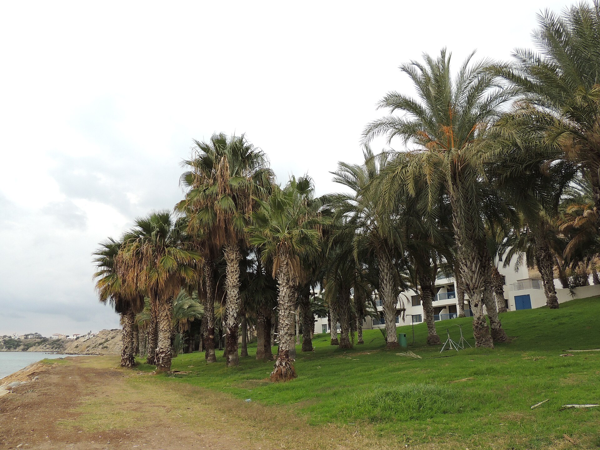 La baie de Coral Bay a Peyia