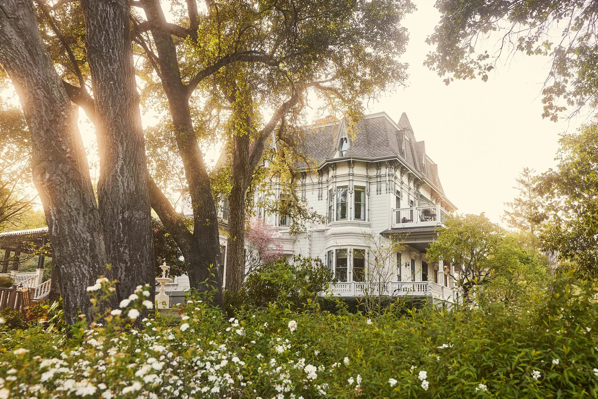 The Madrona
