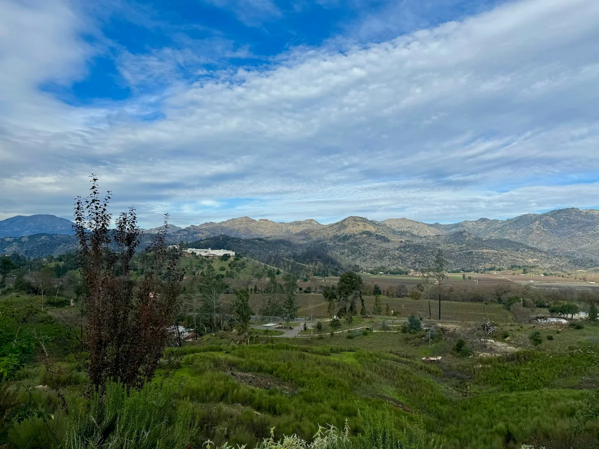 Napa Valley