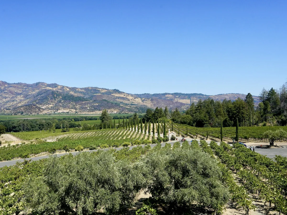 Napa Valley