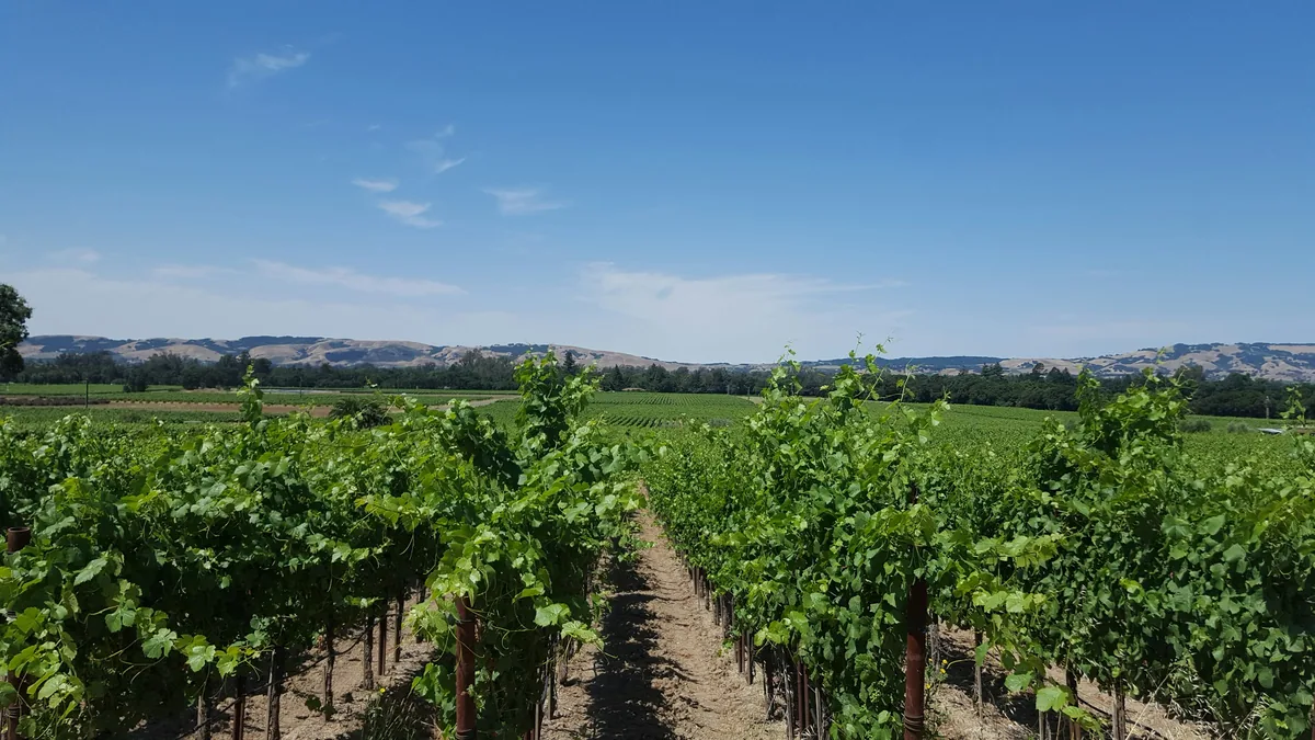 Sonoma