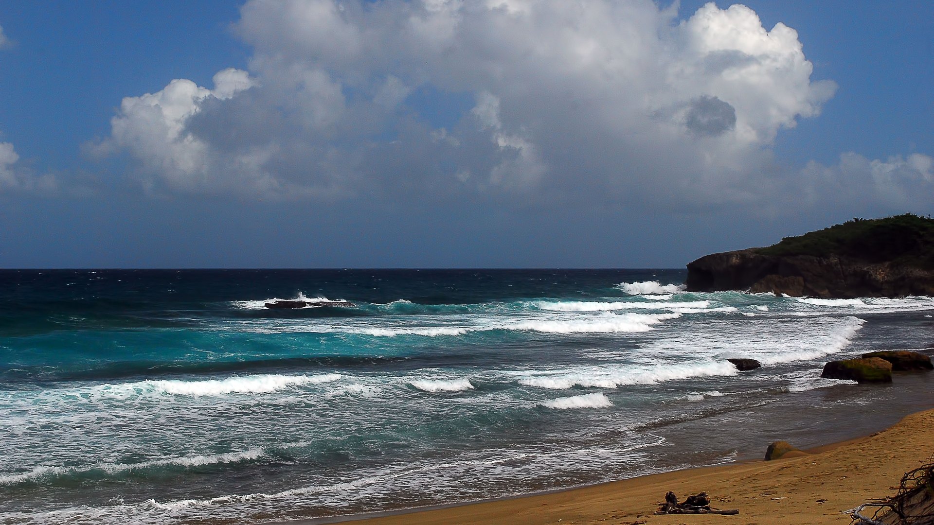 Royal Isabela