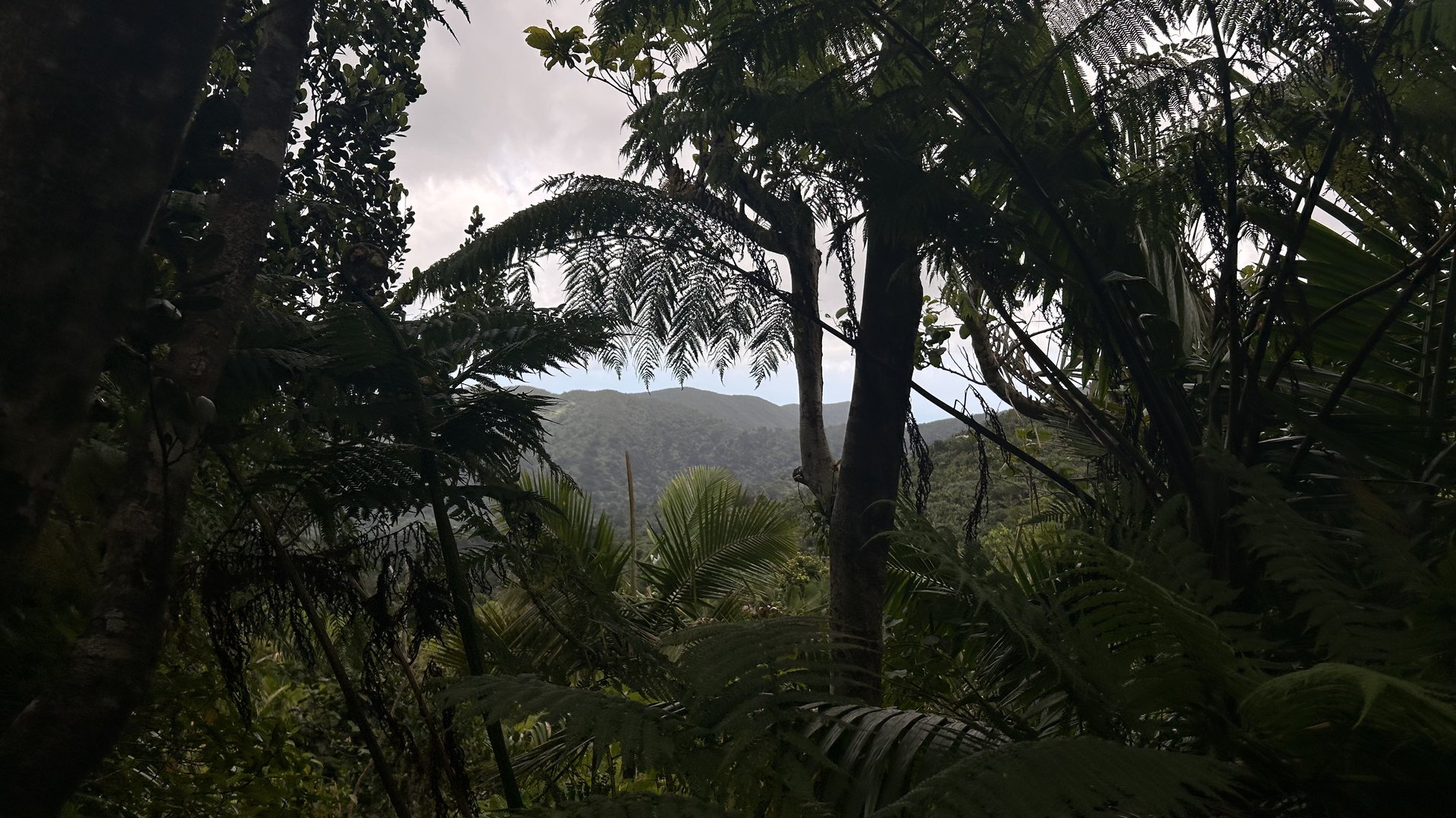 Four Seasons Resort and Residences Puerto Rico