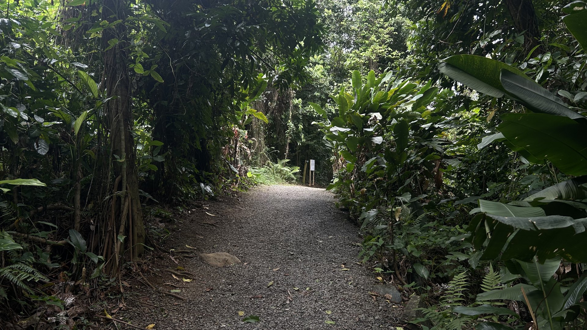 Hyatt Regency Grand Reserve Puerto Rico