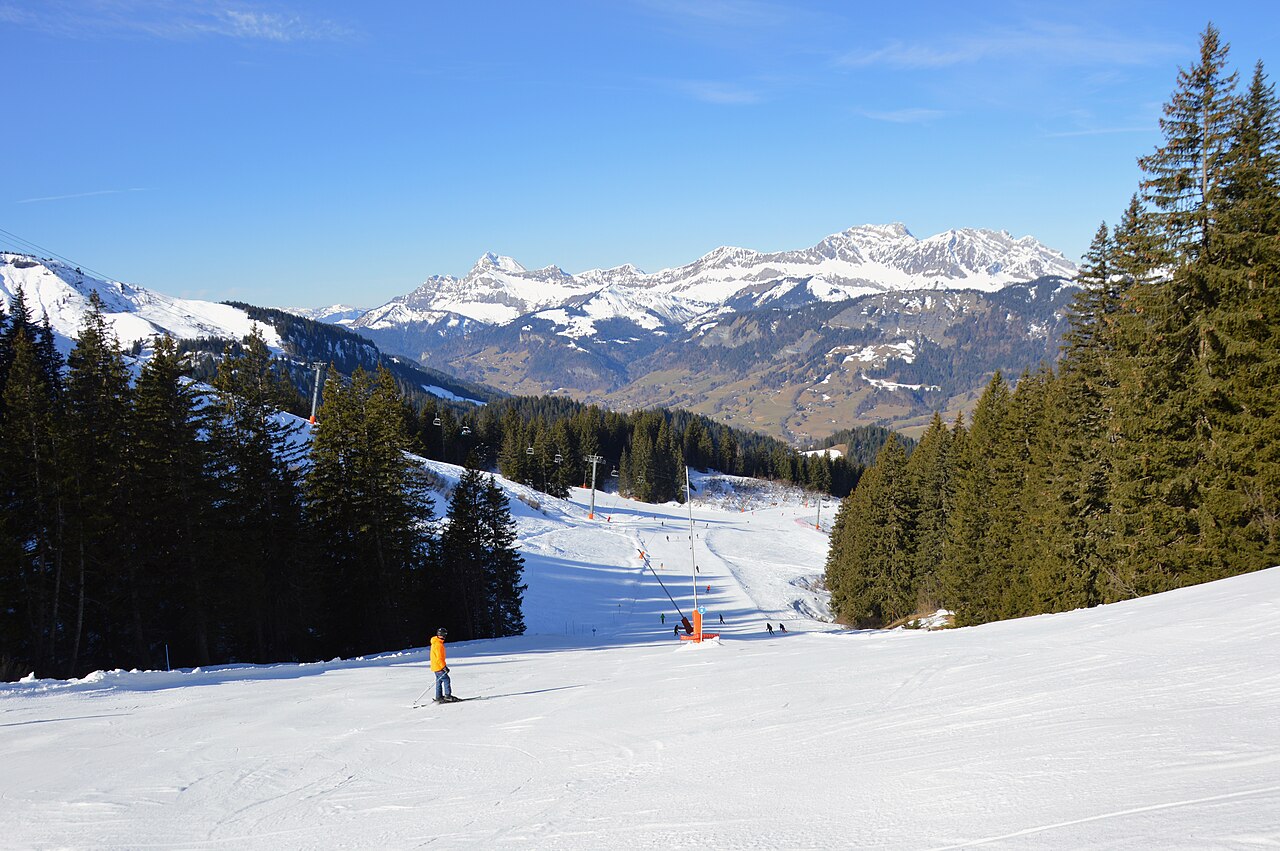 Piste damée bordée de sapins sur le massif de Rochebrune, face aux sommets enneigés