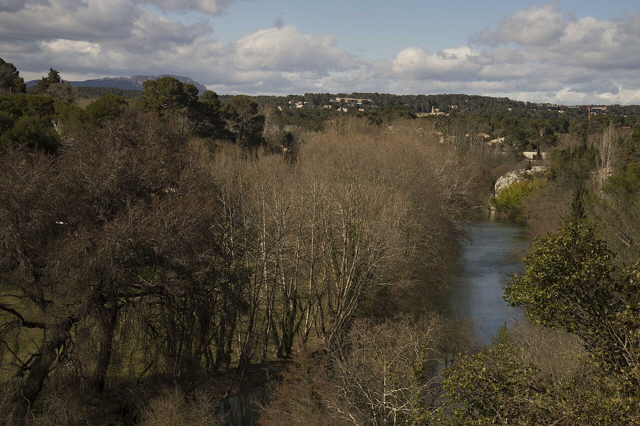 Le Lez et ses berges boisées vus depuis le belvédère de Castelnau-le-Lez.