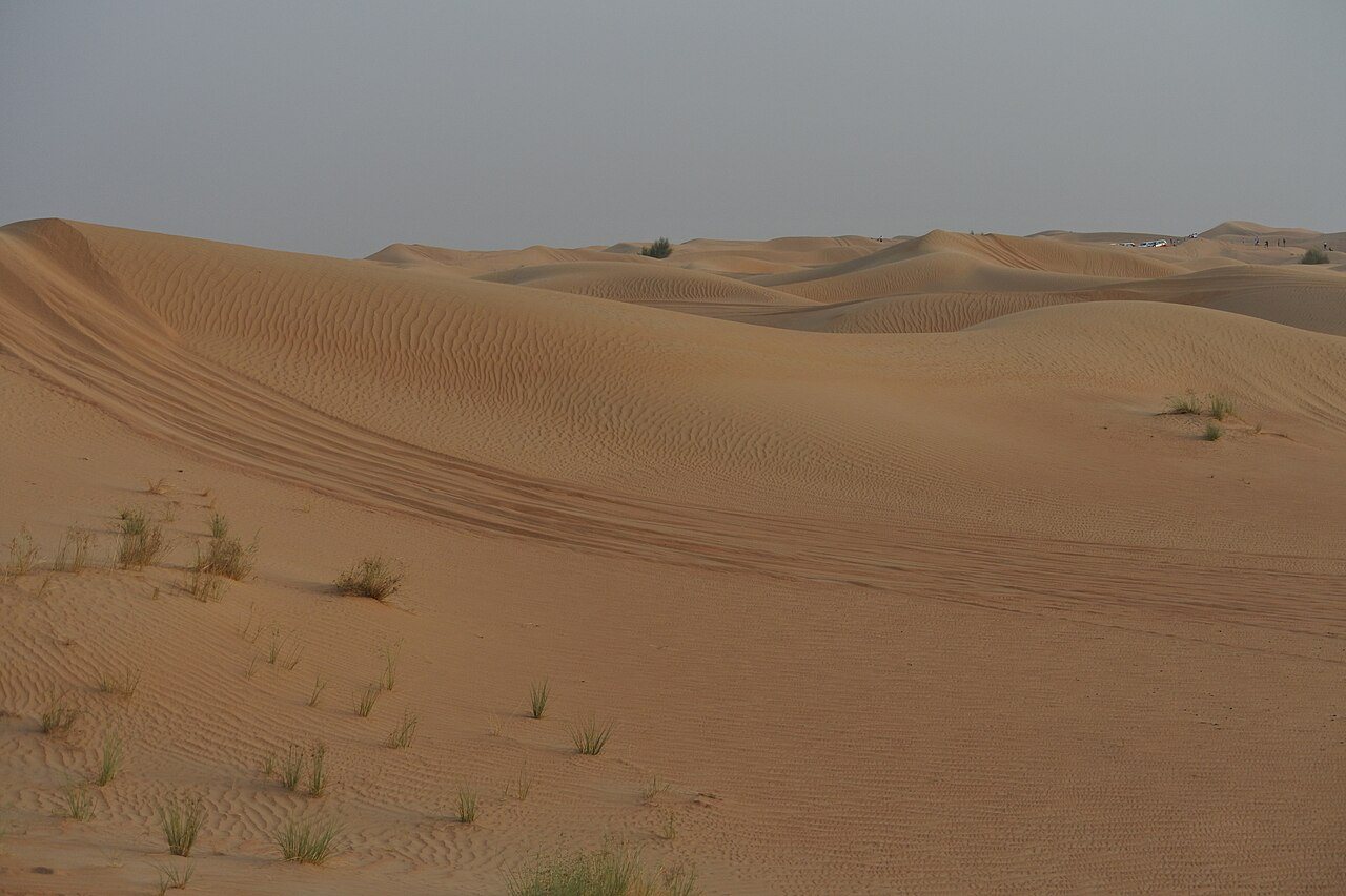 Dunes de sable ocre et touffes d'herbe sèche dans le désert de Dubaï