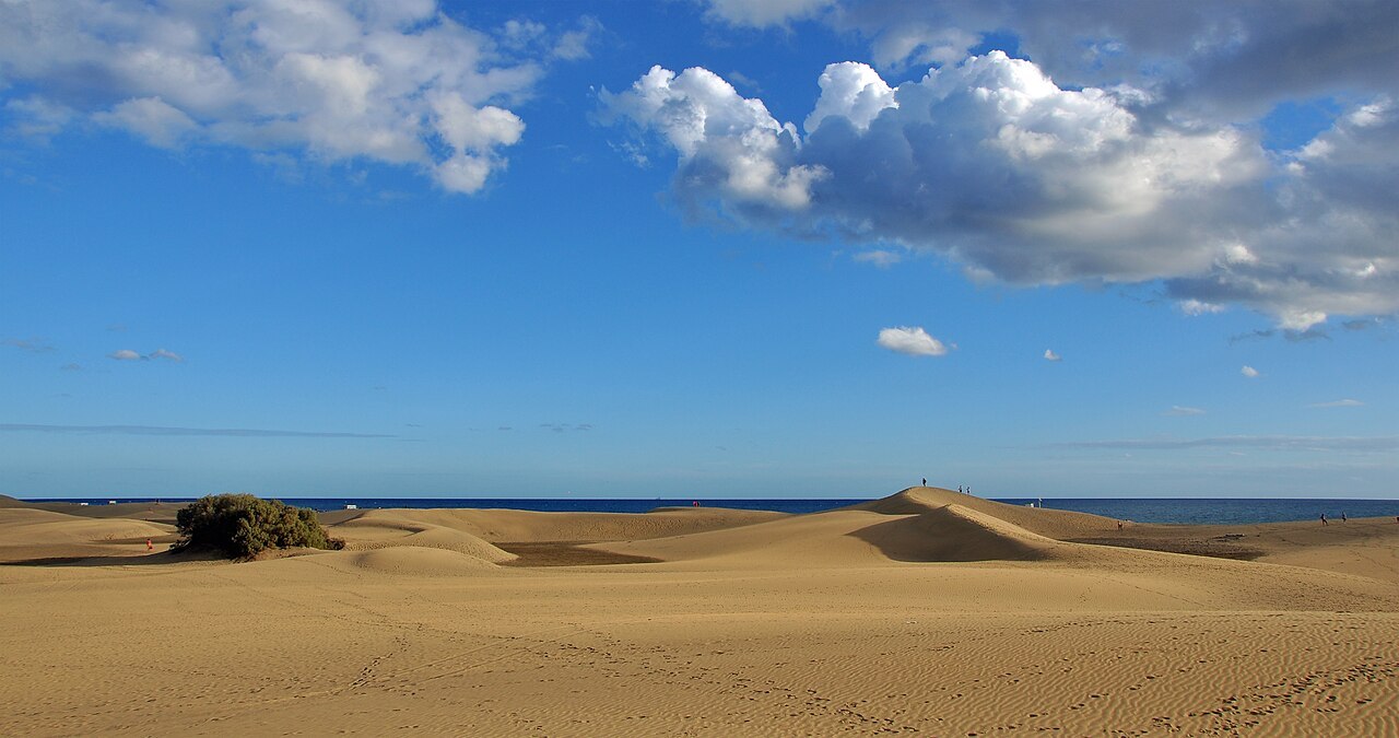 Dunes de Maspalomas à Gran Canaria, avec leurs lignes de sable sous le ciel.