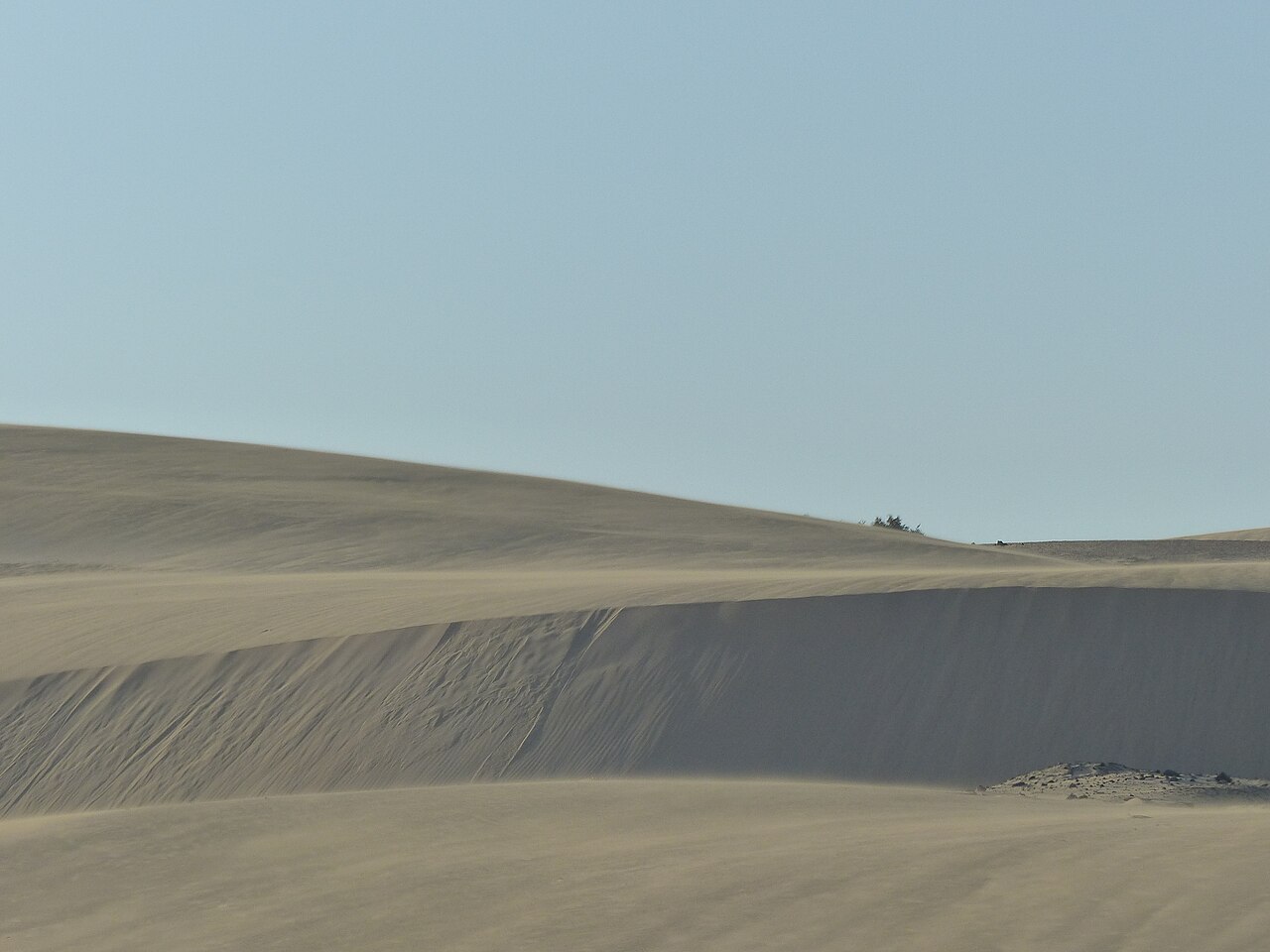 Dunes de Corralejo à Fuerteventura, entre sable clair et horizon bleu.