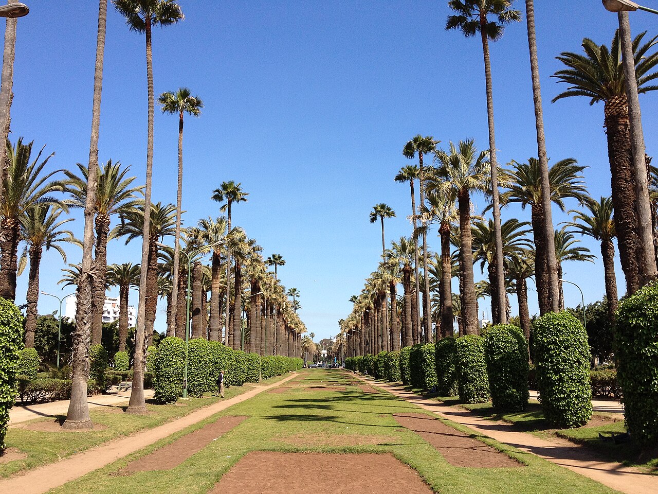 Les allées bordées de palmiers du parc de la Ligue arabe, à Casablanca.