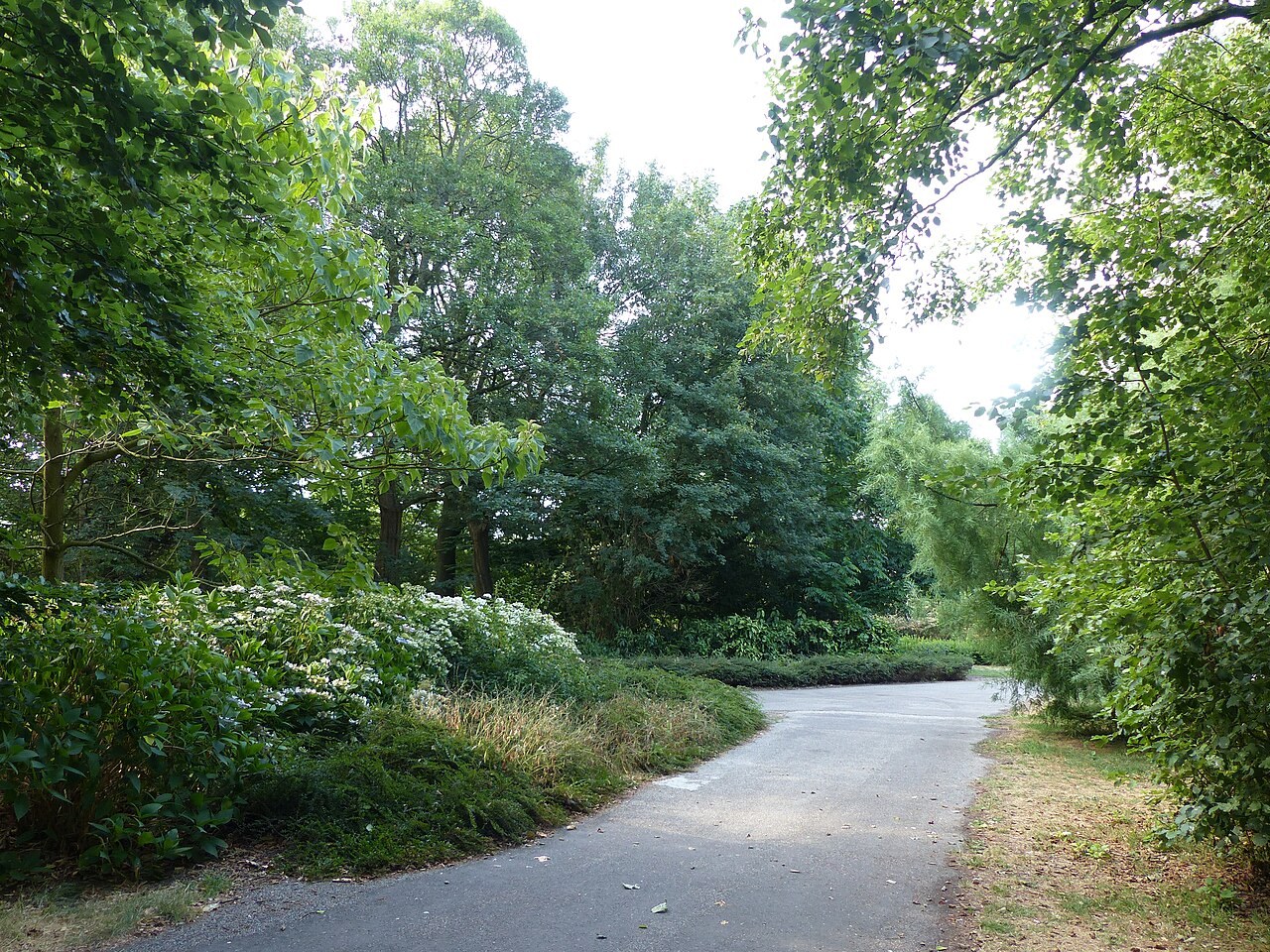 Une allée courbe bordée d'arbres dans Oosterpark à Amsterdam.