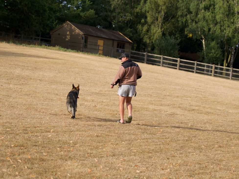 Working at distance on the paddock