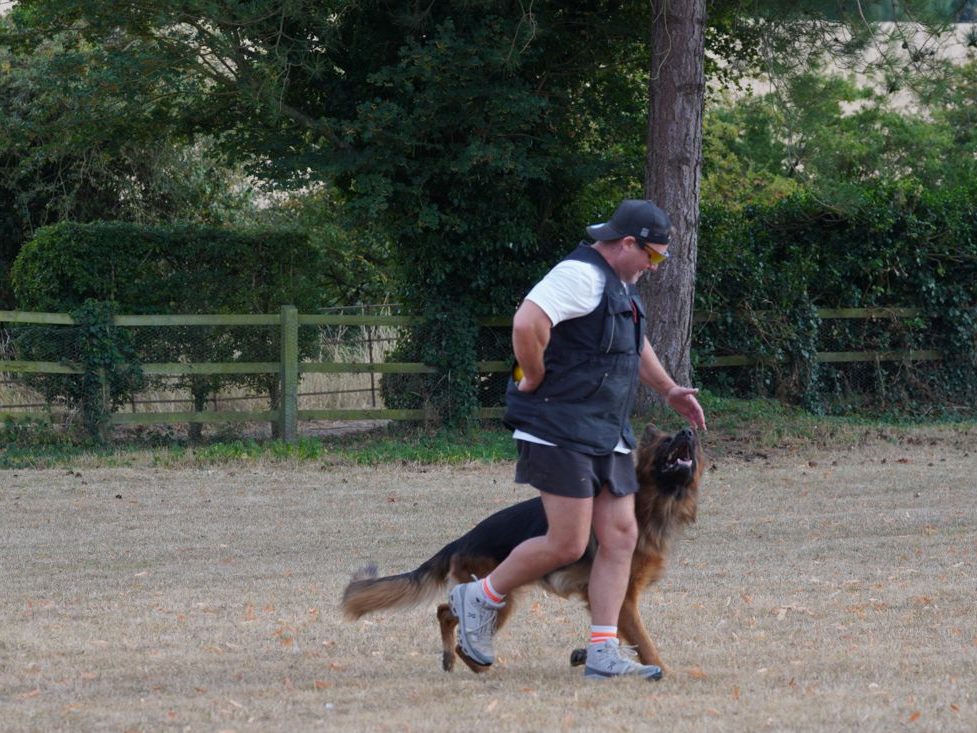 Heel work on the open paddock
